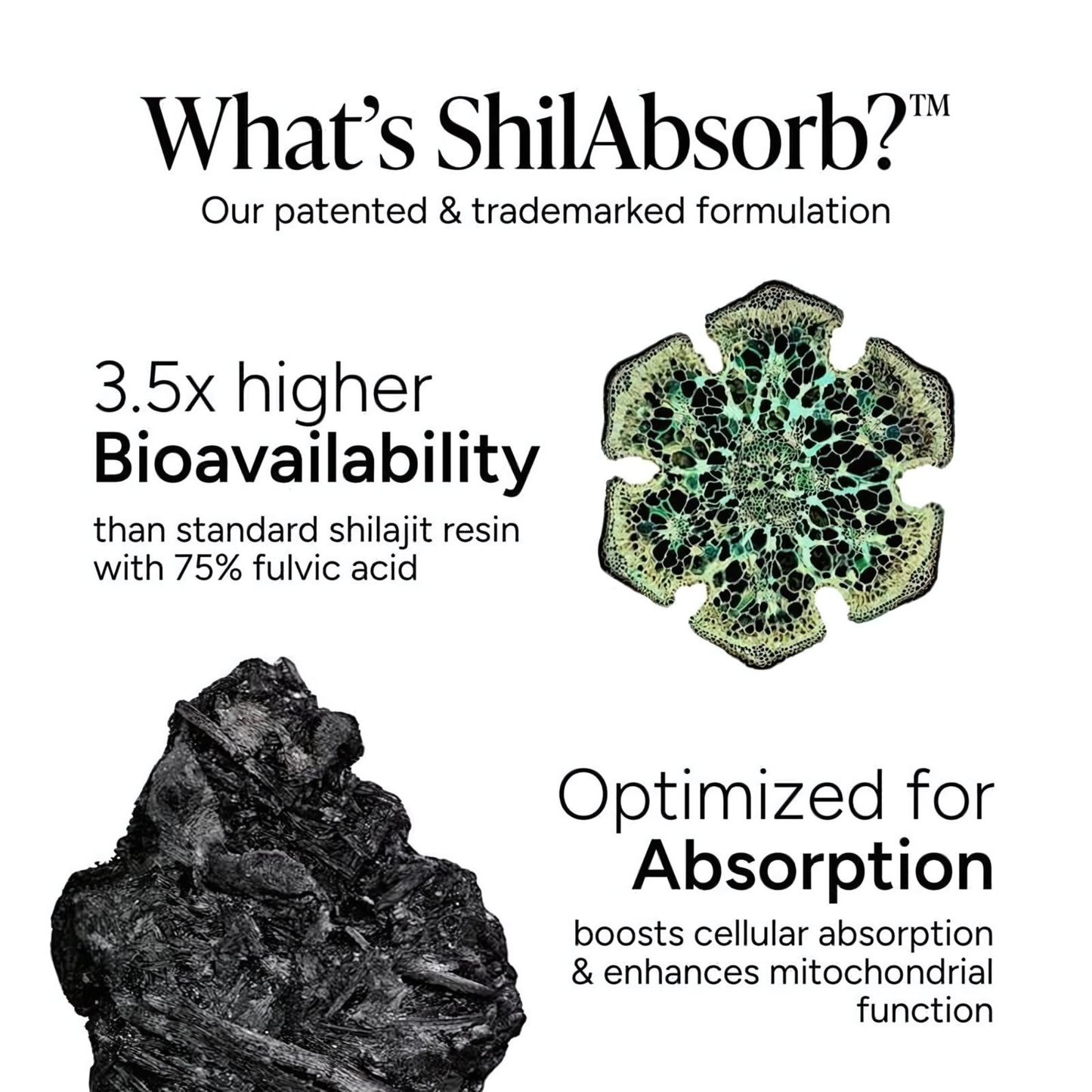 Alpha Shilajit Gummies
