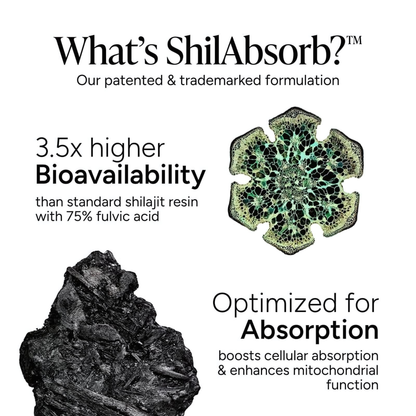 Alpha Shilajit Gummies